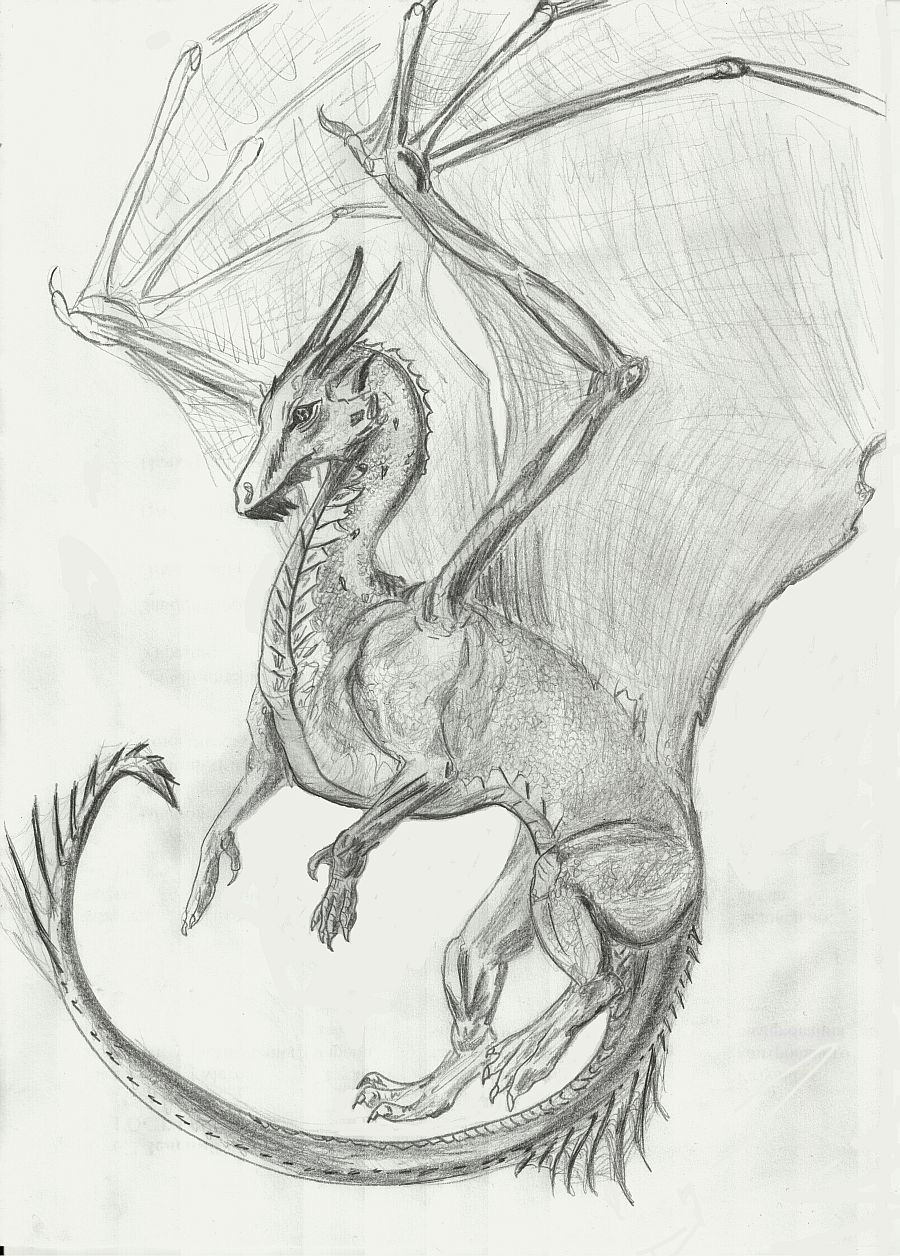 Рисовать дракона целиком